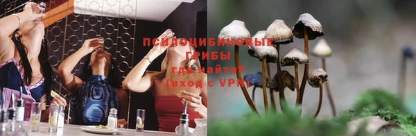 стаф Кукмор