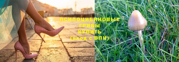 шишки Абдулино